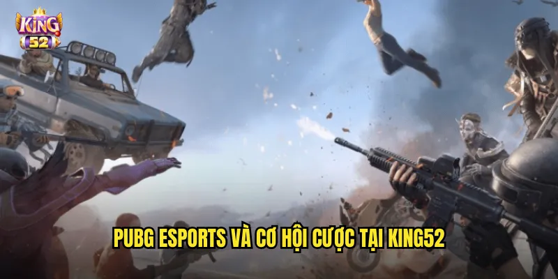 PUBG eSports và cơ hội cược tại king52